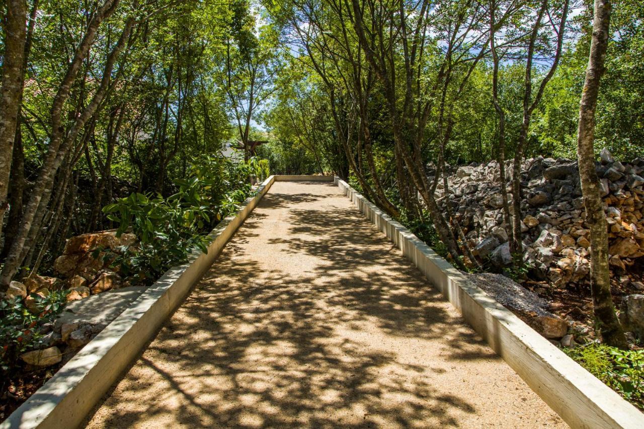Villa Nabucco Kras Extérieur photo